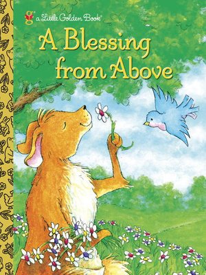 cover image of A Blessing from Above